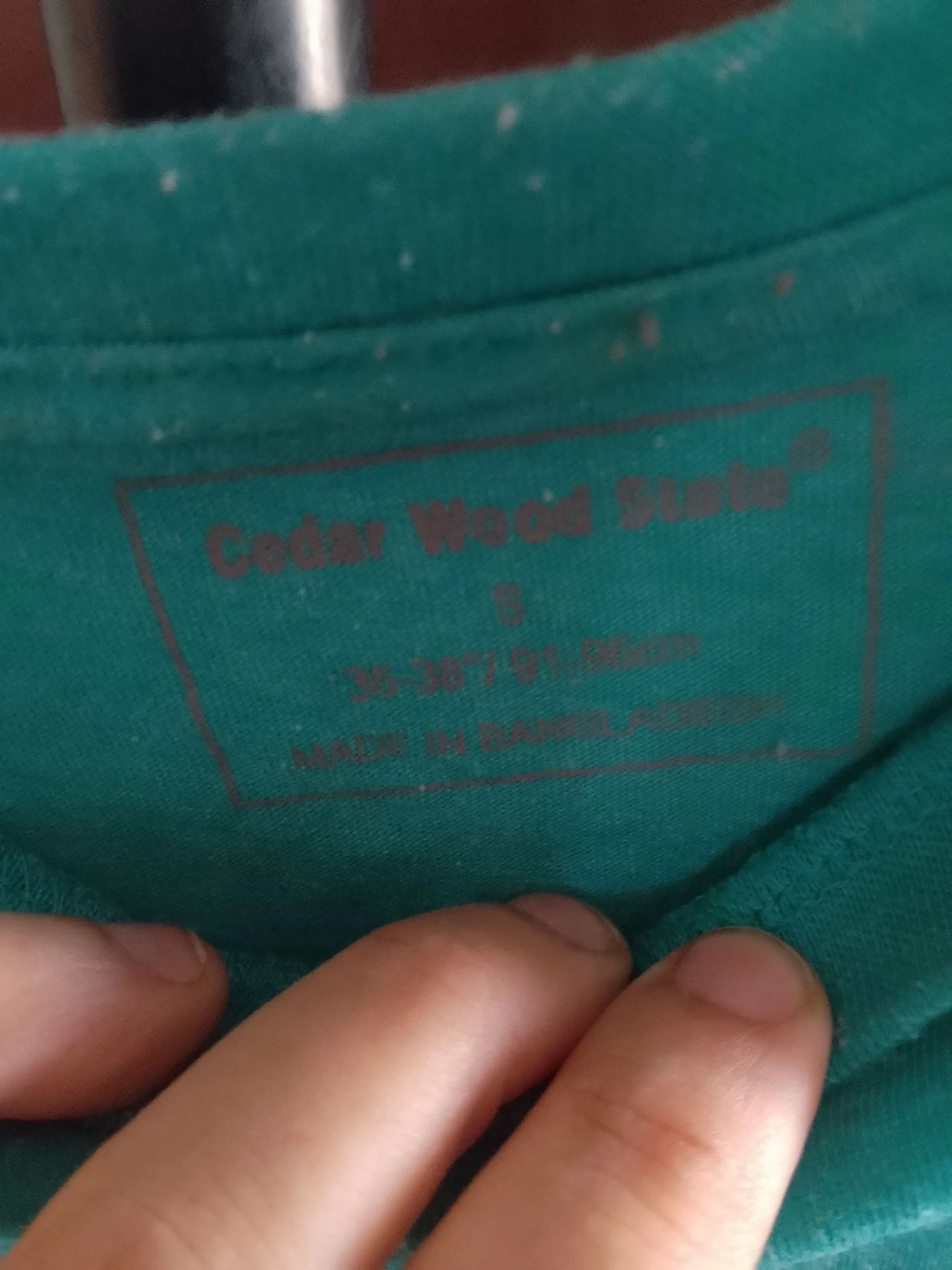 Camiseta Cedar Wood State – photo 2